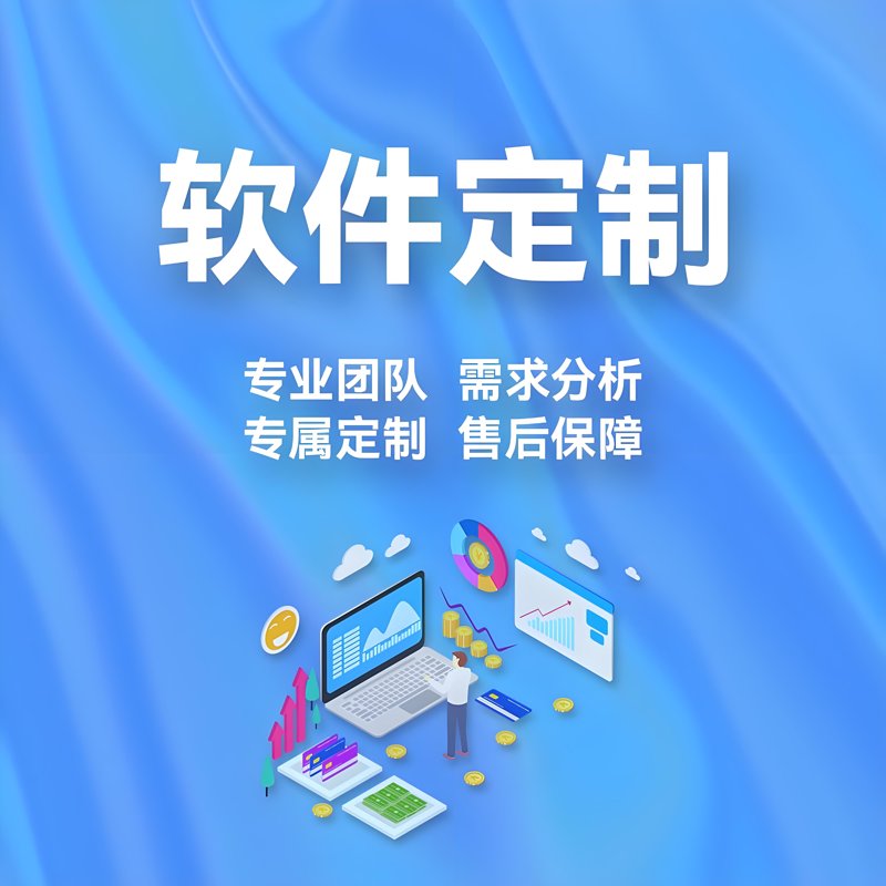 软件定制开发：企业数字化转型的秘密武器